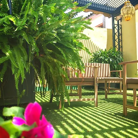 Rooftop Paradise - Space Maison